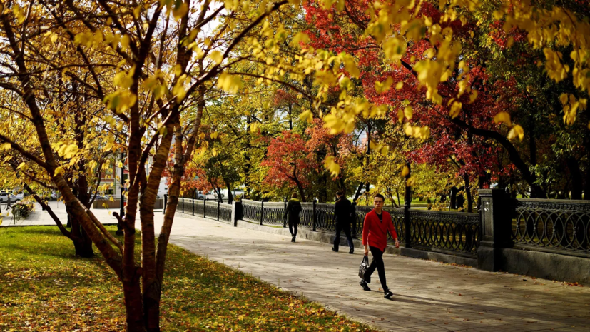 Метеоролог Терешонок высказался о вероятности бабьего лета в России