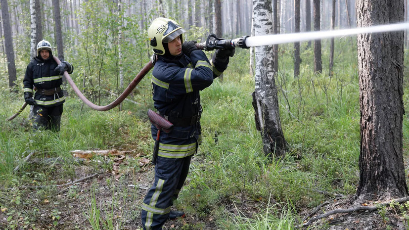 В Ярославской области потушили лесной пожар