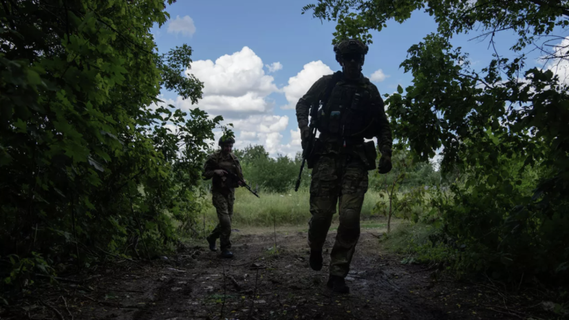 В ДНР сообщили о ранении восьми мирных жителей в результате обстрелов ВСУ за сутки
