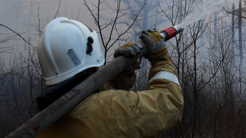 Лесной пожар в Ростовской области локализован на площади 269 га