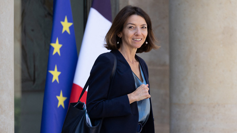 Госсекретарь при французском МИД: Франция готова поставлять Германии газ