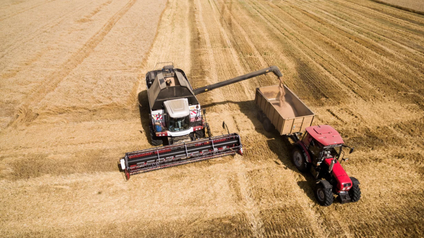 Минсельхоз России видит постепенную активизацию закупок зерна в интервенционный фонд