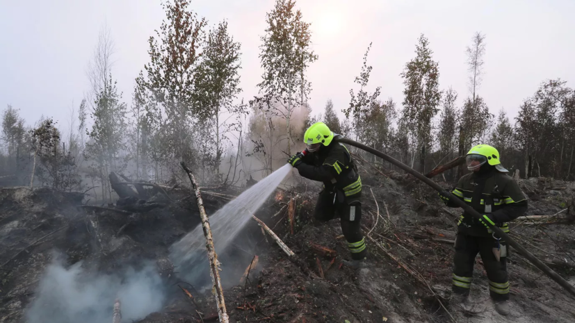 Власти Рязанской области сообщили об одном непотушенном очаге лесных пожаров