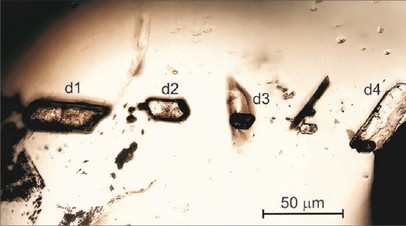 Микрофотография зёрен мерриллита в алмазе