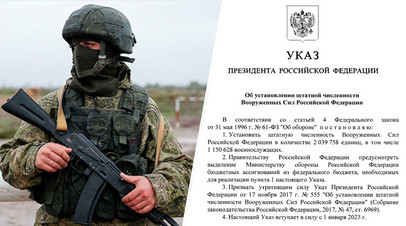 Российский военнослужащий/указ президента РФ