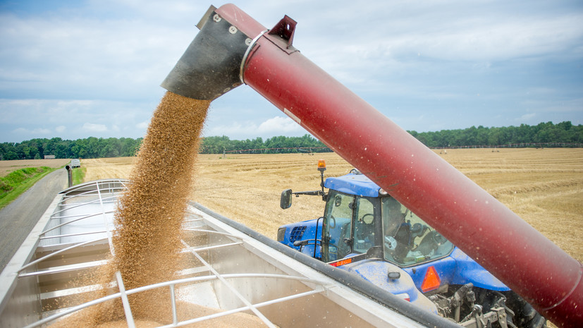Минсельхоз: Россия во втором полугодии готова поставить на внешние рынки до 30 миллионов тонн зерна