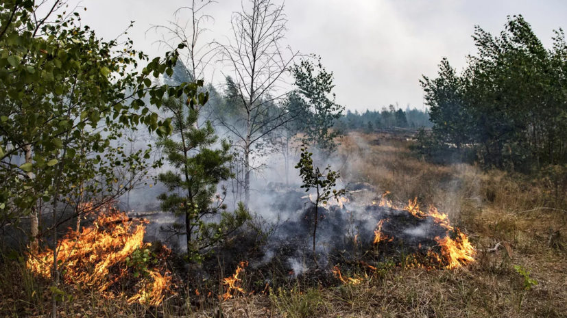 Природные пожары угрожают четырём населённым пунктам в Оренбургской области