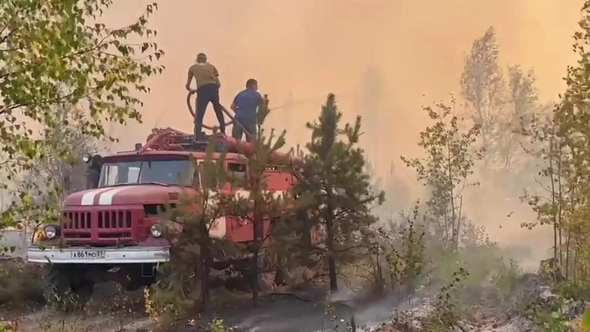В Рязанской области заявили о сохранении ещё одного очага природного пожара