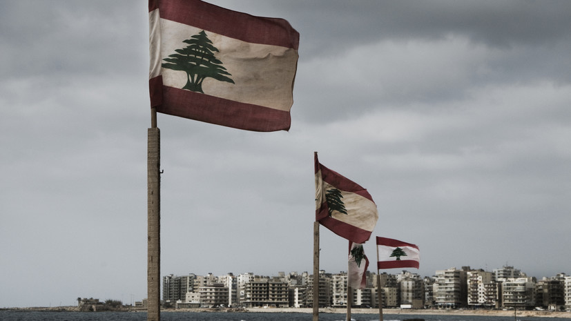 Экс-глава МИД Австрии объяснила свой переезд в Ливан