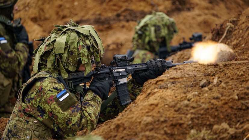 Эстонские СМИ заявили о начале подготовки страны к партизанской войне