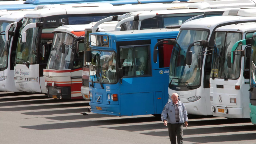 Популярность дачных маршрутов в Подмосковье выросла на 20% за год