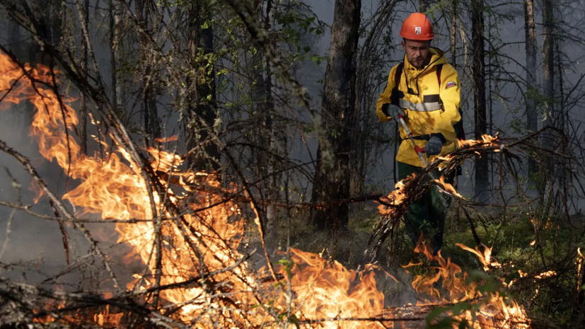 Якутия представила на ВЭФ-2022 спецсистему борьбы с лесными пожарами