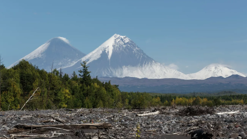 Следствие запросило арест для главы турфирмы, чьи клиенты погибли на Ключевском вулкане