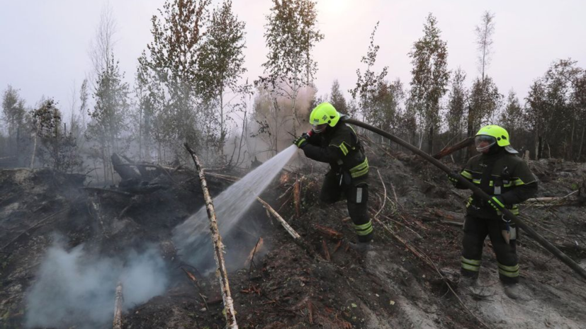 МЧС России: все пожары в Рязанской и Ивановской областях потушены
