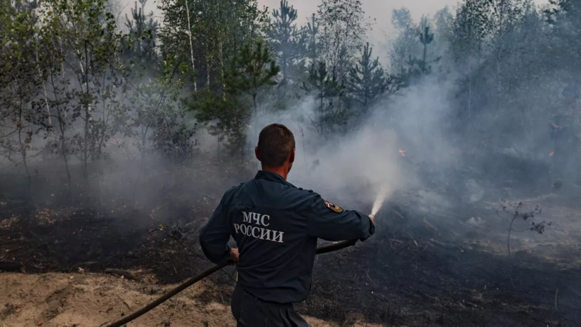 МЧС: за неделю площадь пожаров в России уменьшилась в 6 раз