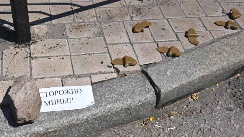 Более 60 человек пострадали в Донецке от мин «Лепесток» с лета