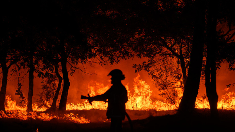 Пожары на юго-западе Франции уничтожили 1,3 тысячи гектаров леса