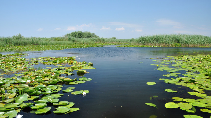 В Ижевске создана новая особо охраняемая природная территория