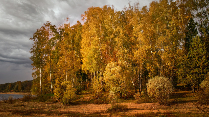 Пышное природы увяданье: тест RT об осени в искусстве