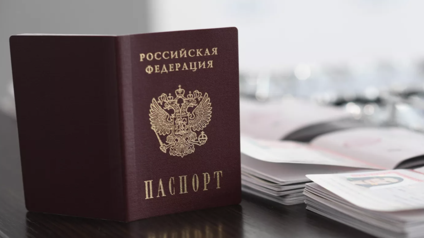 В ГД осудили разработанный на Украине закон об ответственности за получение паспорта России