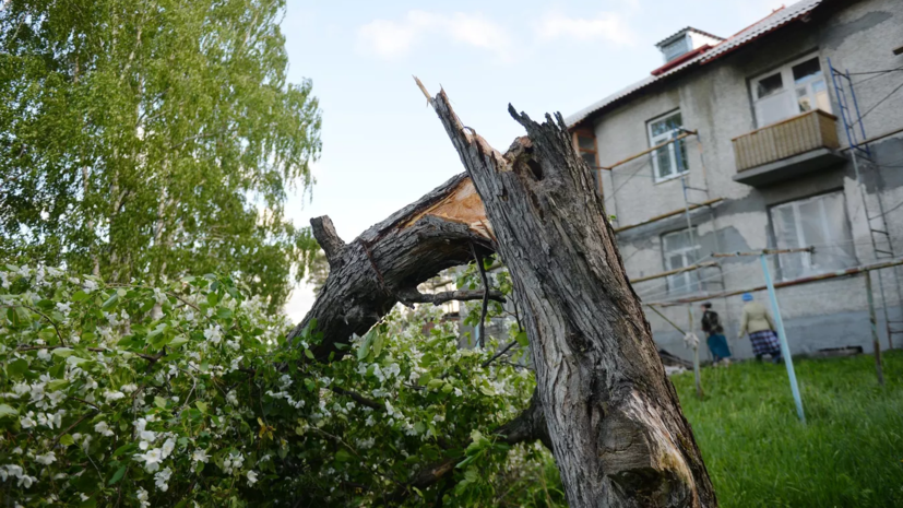 Синоптик спрогнозировал, дойдёт ли ураган из Курской области в Москву