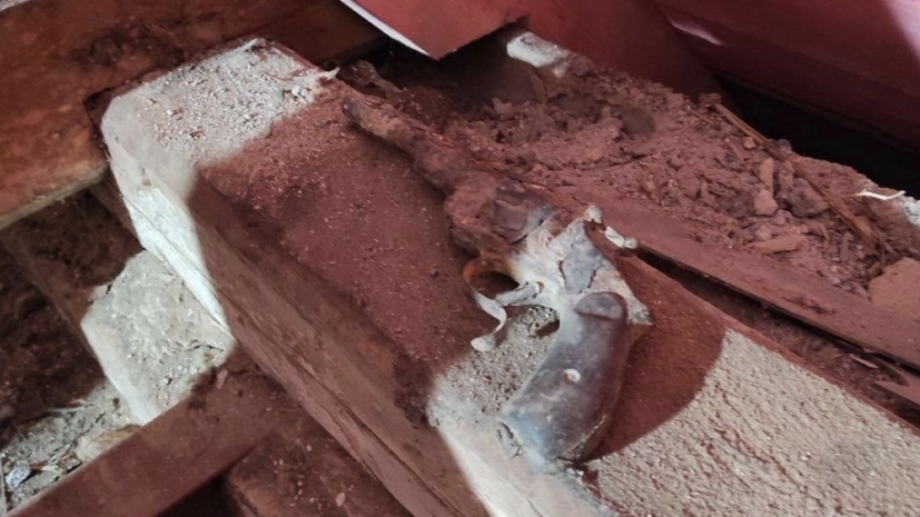 В музее-усадьбе Павла Щербова в Ленобласти найден тайник с револьвером и документами