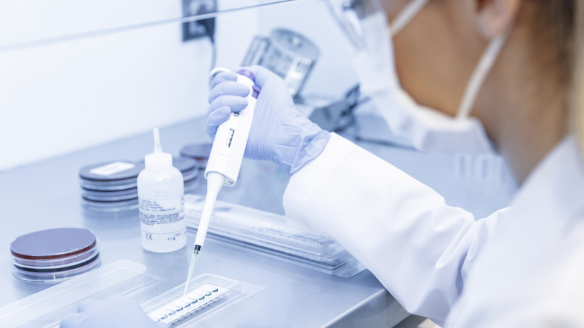 В Подмосковье провели более 20 млн исследований на COVID-19 с начала пандемии
