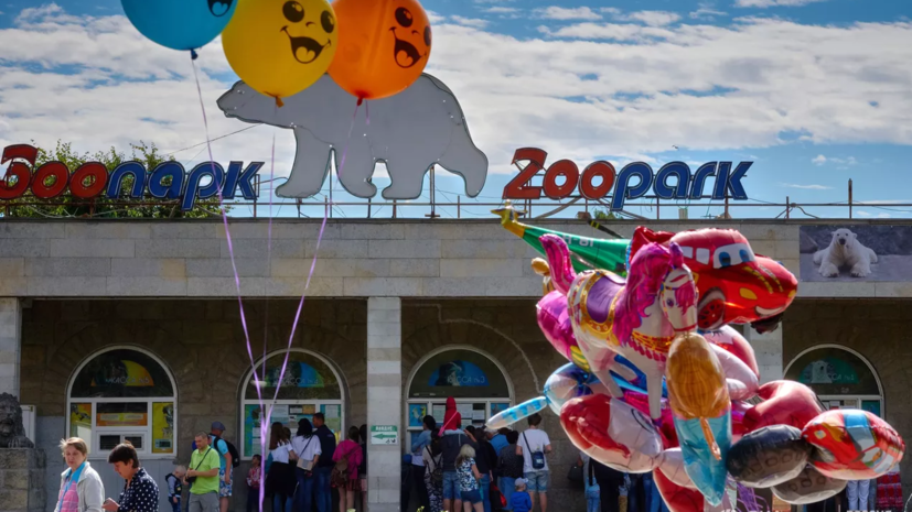 Около 800 кг плодов собрали для животных Ленинградского зоопарка