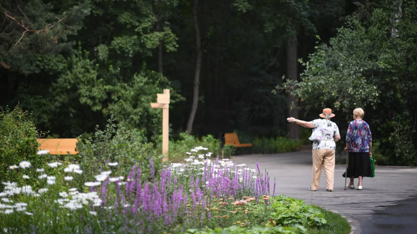 В Москве завершили работы по обновлению Щукинского парка и Всехсвятской рощи