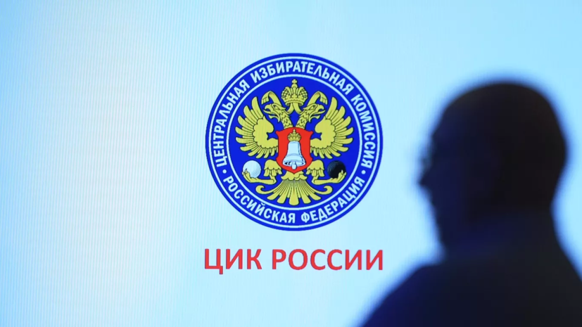 Делегация ЦИК России будет наблюдать за референдумами в Донбассе