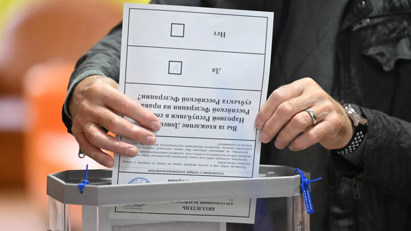 В ДНР заявили, что на референдуме в республике работают 133 иностранных наблюдателя