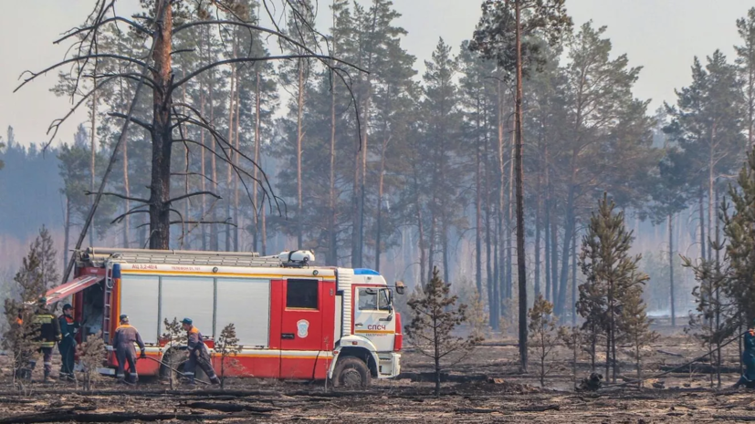 В Рослесхозе заявили о приближении пожароопасного сезона в России к концу