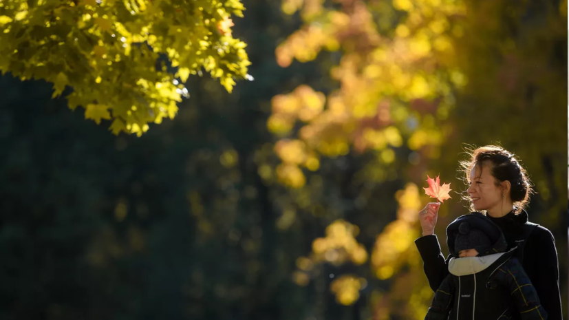 Синоптик Варакин пообещал тёплый октябрь в Туле