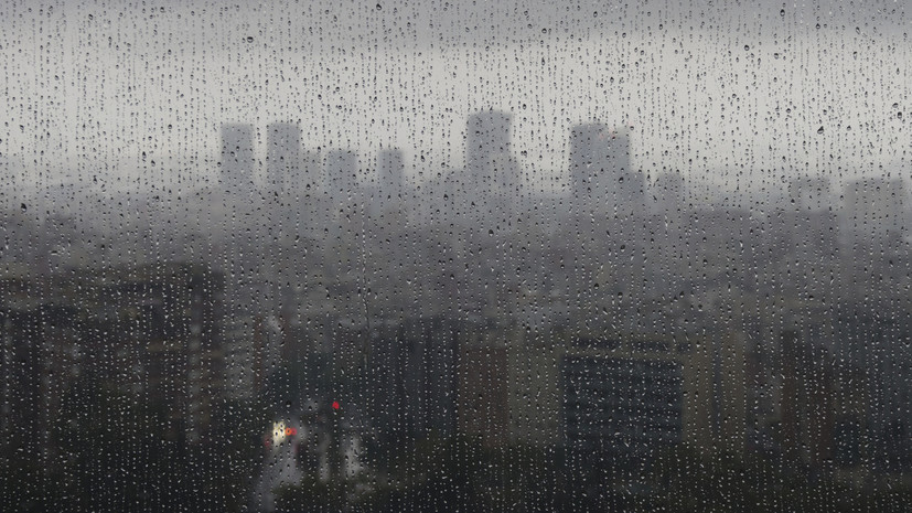 Нутрициолог Свиридова назвала продукты, улучшающие настроение в плохую погоду