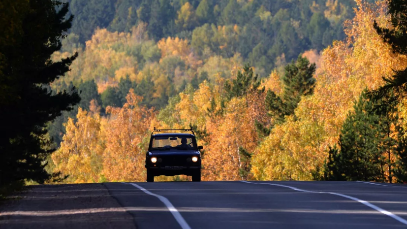 Автоэксперт Мартыненко дал советы по безопасному вождению осенью
