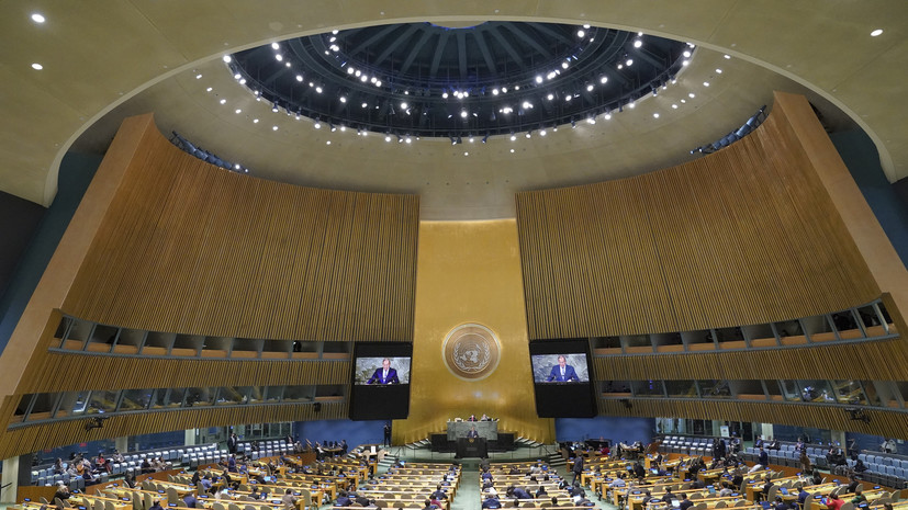 Представитель ГА ООН Кубияк анонсировала возобновление спецсессии по референдумам