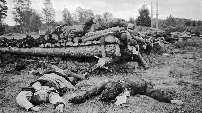 «Нашим людям места в планах оккупантов не было»: преступления нацистов в Ленобласти в годы ВОВ признаны геноцидом