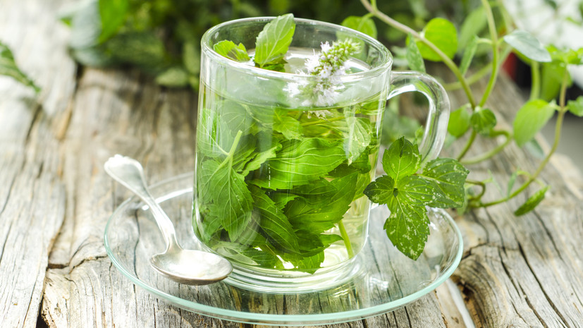 Диетолог Русакова рассказала, что мятный чай помогает справляться со стрессом