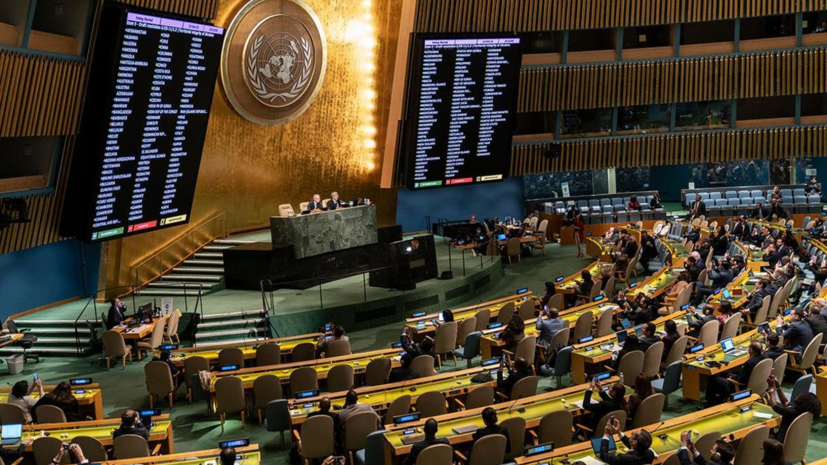 Венгрия и Сербия проголосовали за осуждающую референдумы в Донбассе резолюцию ООН 