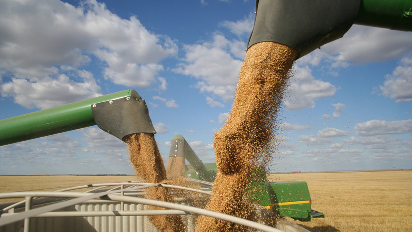В Турции заявили, что США дали гарантии выхода российского зерна на рынки