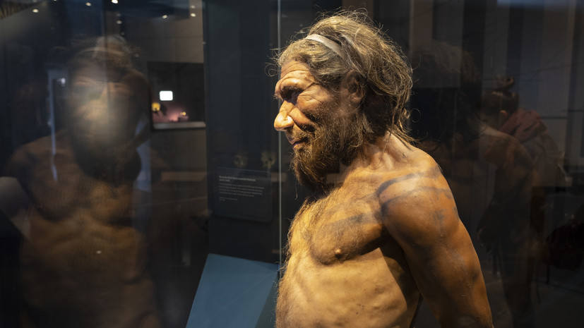 «Социальная организация»: учёные исследовали уклад жизни алтайских неандертальцев благодаря анализу генома