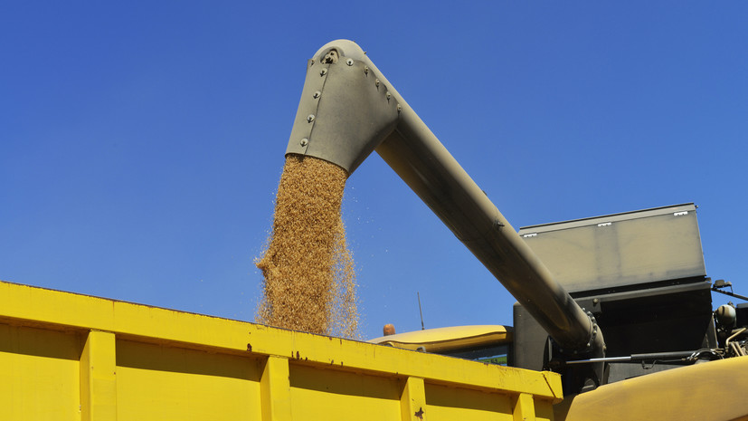 Минсельхоз России выделит дополнительную поддержку производителям зерна в 2023 году