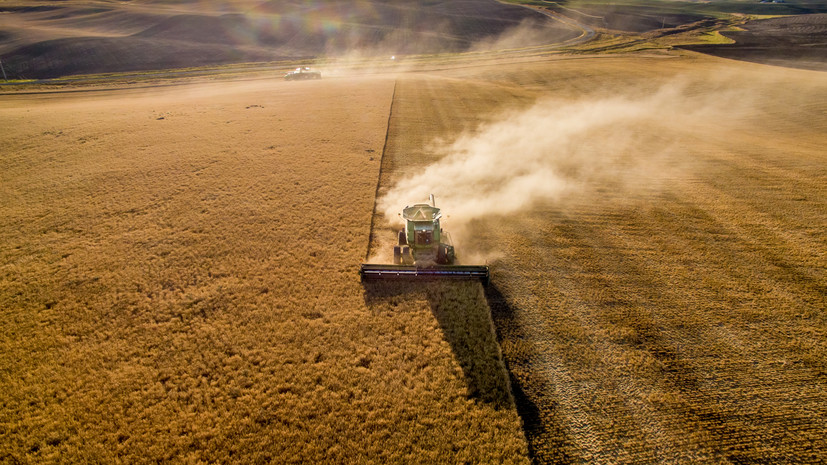 Минсельхоз предложил квоту на экспорт зерна из России в размере 25 млн т в 2023 году