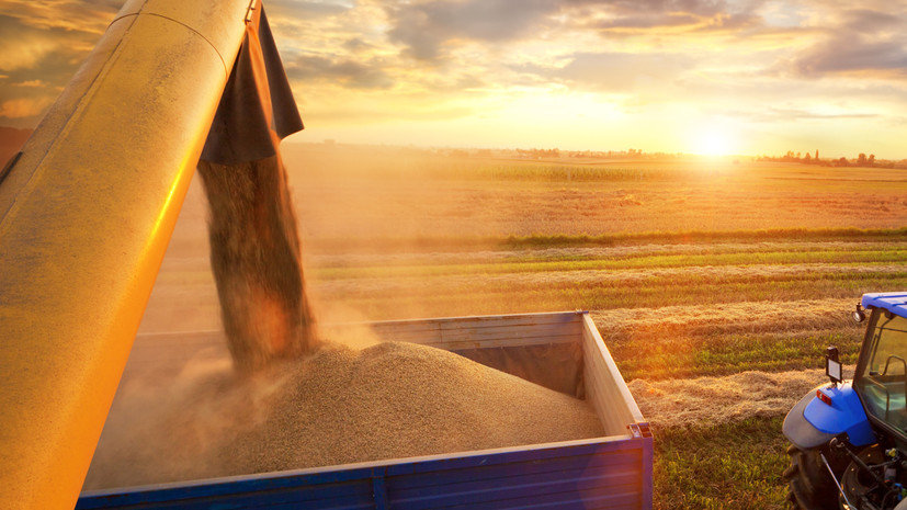 Минсельхоз: Россия достигла исторического рекорда по сбору зерна