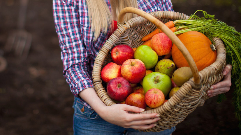 Диетолог Соломатина рассказала о калорийности ряда блюд из тыквы и яблок
