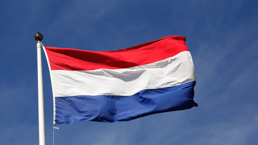 В Нидерландах заявили о завершении вспышки оспы обезьян в стране