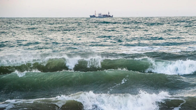 Milliyet: военные Турции усилили контроль в Босфорском проливе из-за мин в Чёрном море