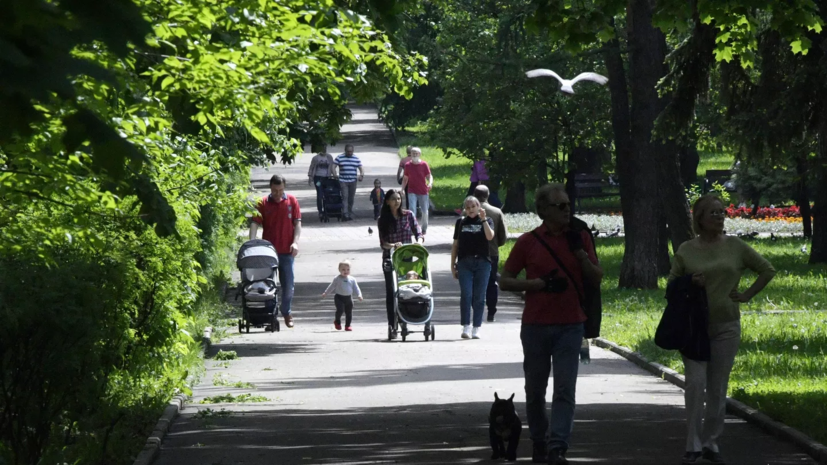 Заполняемость индустриальных парков Подмосковья превысила 76%