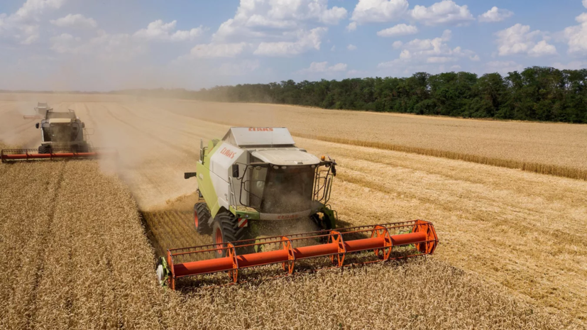 Россия готова безвозмездно поставить беднейшим странам 500 тысяч тонн зерновых