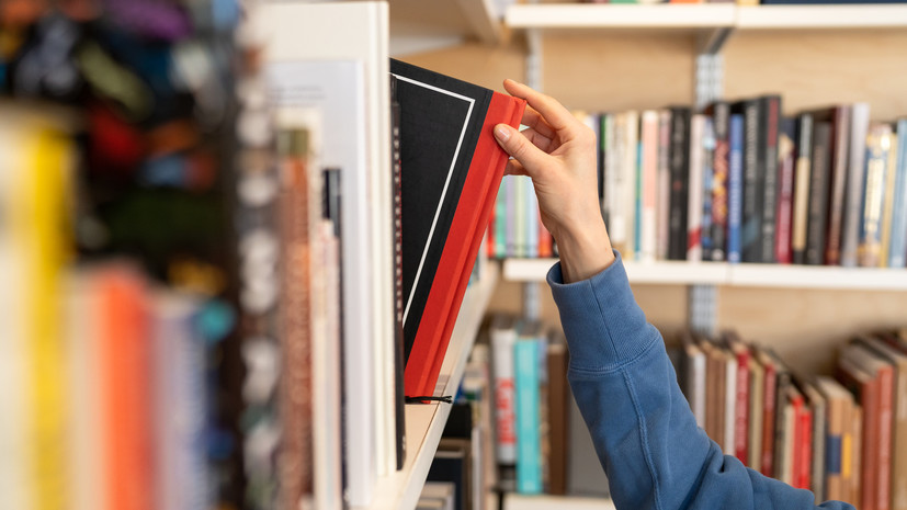 Финалист «Большой книги» Синицкая назвала свой новый роман сложносочинённым